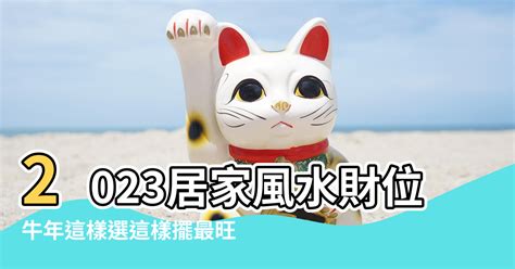 屋企財位2023|2023財位旺運秘方